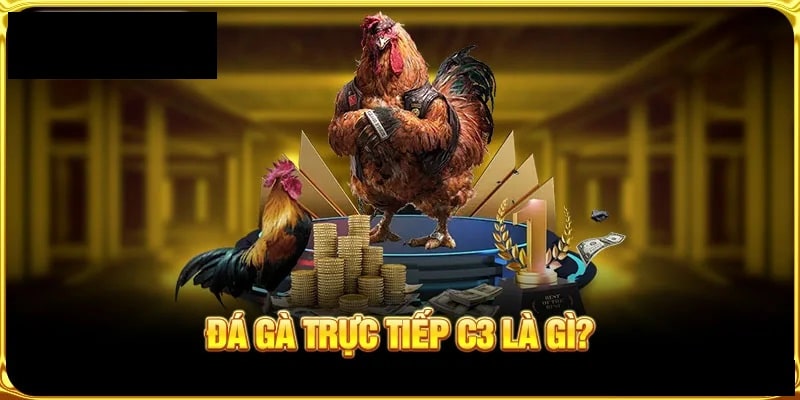 Tham Gia Trực Tiếp Đá Gà C3 Có Những Ưu Điểm Gì Vượt Trội? Trực tiếp đá gà c3 là gì?